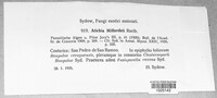 Seuratia millardetii image